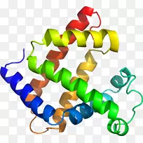 人体珠宝线有机体木聚糖酶剪贴画线-空若网 人体珠宝线有机体木聚糖酶剪贴画线-空若网
