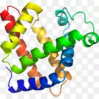 人体珠宝线剪贴画线-空若网 人体珠宝线剪贴画线-空若网