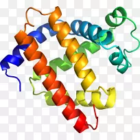 人体珠宝线有机体剪贴画线-空若网 人体珠宝线有机体剪贴画线-空若网
