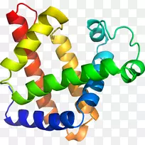 人体珠宝线剪贴画线-空若网 人体珠宝线剪贴画线-空若网