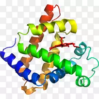 人体首饰有机体线剪贴画线-空若网 人体首饰有机体线剪贴画线-空若网