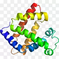 人体珠宝线剪贴画线-空若网 人体珠宝线剪贴画线-空若网