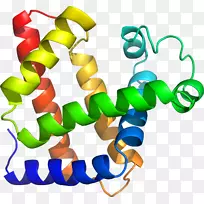人体珠宝线剪贴画线-空若网 人体珠宝线剪贴画线-空若网