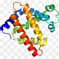 人体珠宝线有机体剪贴画线-空若网 人体珠宝线有机体剪贴画线-空若网