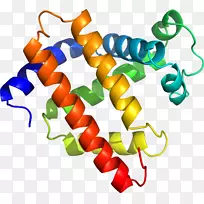 人体珠宝线有机体剪贴画线-空若网 人体珠宝线有机体剪贴画线-空若网