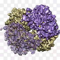 超级食物-空若网 超级食物-空若网