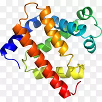 �����鱦���л����������-������