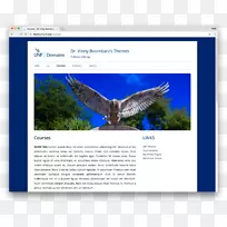 动物广告生态动物-古老的锻造运动-空若网 动物广告生态动物-古老的锻造运动-空若网