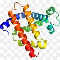 �����鱦�߼�������-������