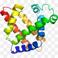 人体珠宝线有机体剪贴画线-空若网 人体珠宝线有机体剪贴画线-空若网