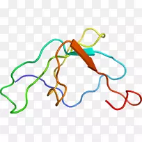 �ߵ������������-������