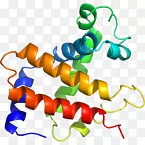 �ߵ������-��-������