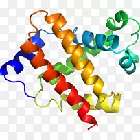 线点生物剪贴画线-空若网 线点生物剪贴画线-空若网
