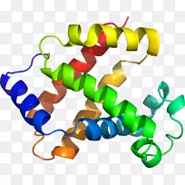 人体珠宝剪贴画.设计-空若网 人体珠宝剪贴画.设计-空若网