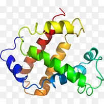 线点生物剪贴画线-空若网 线点生物剪贴画线-空若网