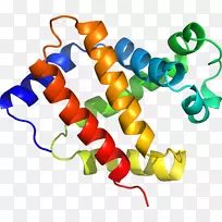 �ߵ������������-������