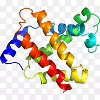 �ߵ������������-������