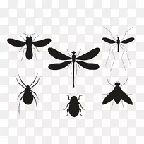 昆虫蝴蝶,-昆虫-空若网 昆虫蝴蝶,-昆虫-空若网