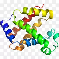 人体珠宝剪贴画.设计-空若网 人体珠宝剪贴画.设计-空若网