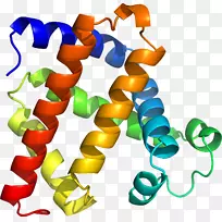 人体珠宝线有机体剪贴画线-空若网 人体珠宝线有机体剪贴画线-空若网