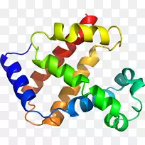 人体珠宝线剪贴画线-空若网 人体珠宝线剪贴画线-空若网