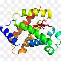 人体珠宝线有机体剪贴画线-空若网 人体珠宝线有机体剪贴画线-空若网