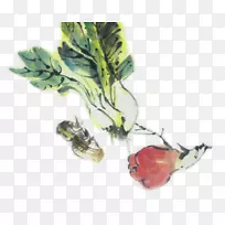 ¾íÐIJËË®²Ê»Ö²Îï.¿¨Í¨Ë®²Ê¾íÐIJË-¿ÕÈôÍø ¾íÐIJËË®²Ê»Ö²Îï.¿¨Í¨Ë®²Ê¾íÐIJË-¿ÕÈôÍø