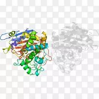 树线剪贴画-树-空若网 树线剪贴画-树-空若网