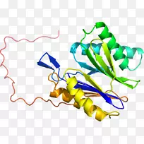 ֲ�ﾥ�߲��߼�����-�߲�-������