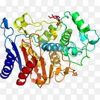 树线剪贴画-树-空若网 树线剪贴画-树-空若网