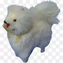 波美拉犬繁殖鼻子毛皮-空若网 波美拉犬繁殖鼻子毛皮-空若网