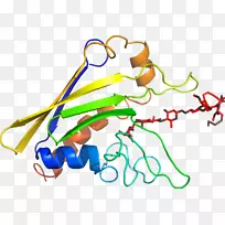 �ߵ������������-������