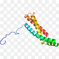 �����鱦���л����������-������