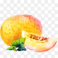 水彩画香瓜水彩画-空若网 水彩画香瓜水彩画-空若网