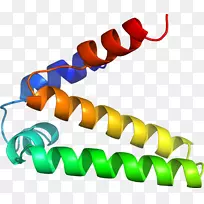 人体珠宝线剪贴画线-空若网 人体珠宝线剪贴画线-空若网