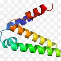 人体珠宝线剪贴画线-空若网 人体珠宝线剪贴画线-空若网