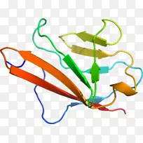 �ߵ������-��-������