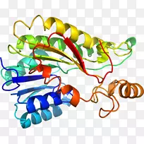 人体珠宝线有机体剪贴画线-空若网 人体珠宝线有机体剪贴画线-空若网