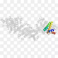 ��־Ʒ���ߵ�������-������