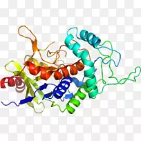 艺术身体珠宝有机体线剪贴画线-空若网 艺术身体珠宝有机体线剪贴画线-空若网