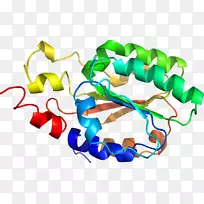 �����鱦�߼�������-������