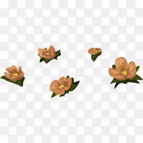 橙色花色-橙色-空若网 橙色花色-橙色-空若网