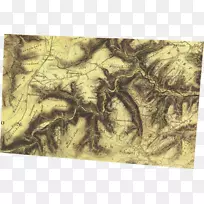 树动物-树-空若网 树动物-树-空若网