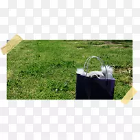 ��ƺ�ݵ�ݿ�-������