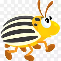 昆虫纸昆虫-空若网 昆虫纸昆虫-空若网