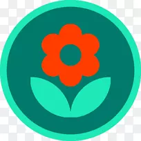 植物安卓谷歌游戏-植物-空若网 植物安卓谷歌游戏-植物-空若网