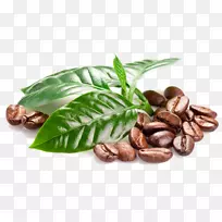 咖啡豆茶浓咖啡杯咖啡豆-空若网 咖啡豆茶浓咖啡杯咖啡豆-空若网