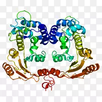 ���������л����߼�������-������