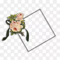 ��������л�����-������