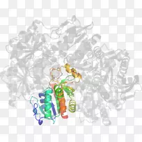 �����ڷ��������鱦����������-������